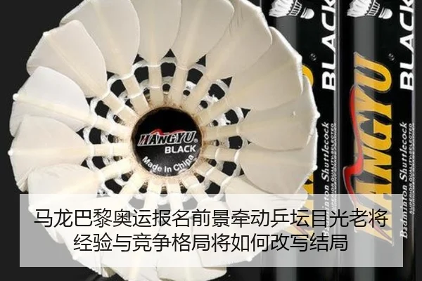 马龙巴黎奥运报名前景牵动乒坛目光老将经验与竞争格局将如何改写结局 - kaiyun